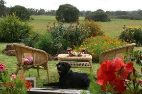 SilverSprings Spa Retreat Pet Friendly Cottages and Glampings